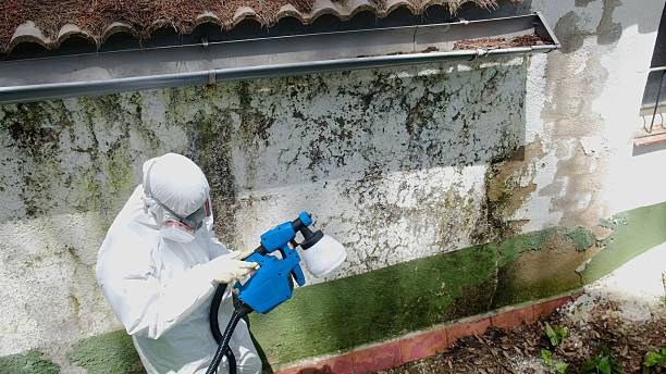 Trusted Mold Removal service in Leesburg, GA - Cheap Mold Removal